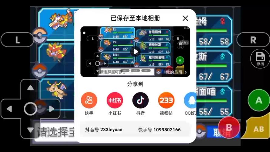 口袋妖怪全随机怎么调