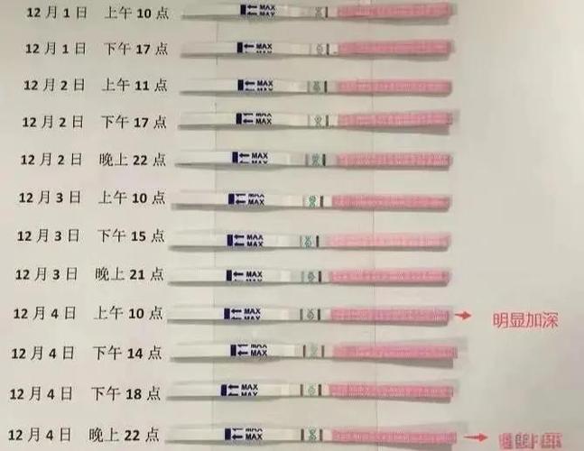 卵泡监测多少钱一次截图