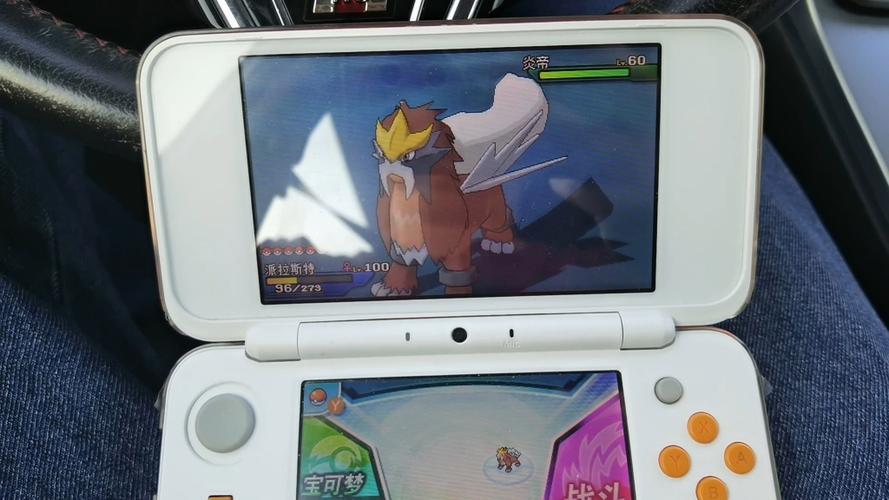3ds精灵宝可梦xy60帧金手指截图