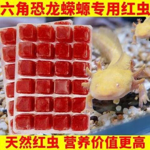 红虫多久给鱼喂一次截图