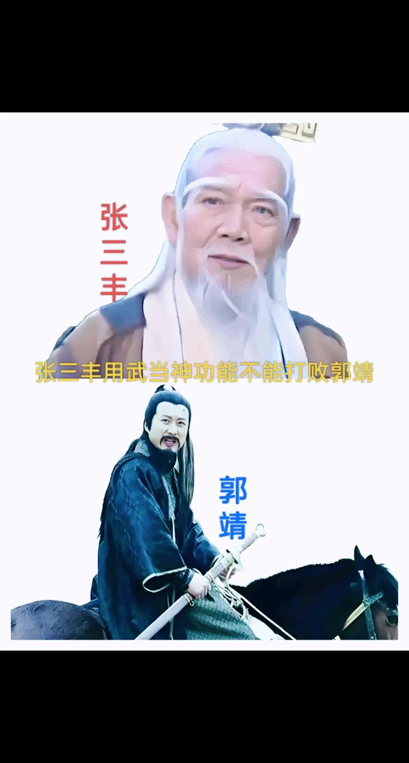 段子羽张宇初vs张三丰截图