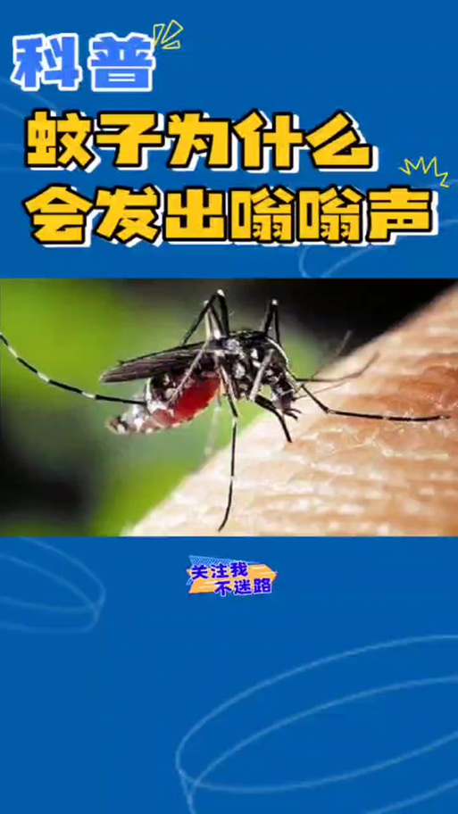 抖音里像蚊子声音