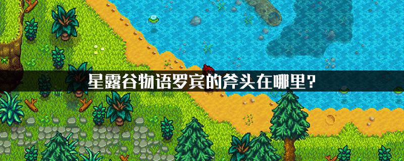 星露谷罗宾的斧头丢了在哪里