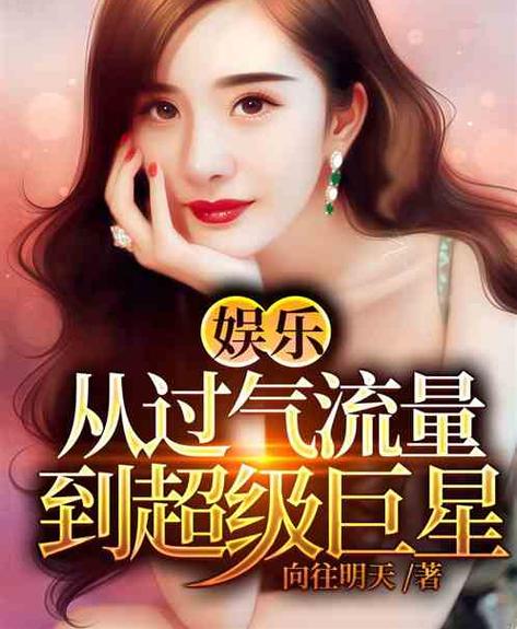 从流量到天王巨星 小说