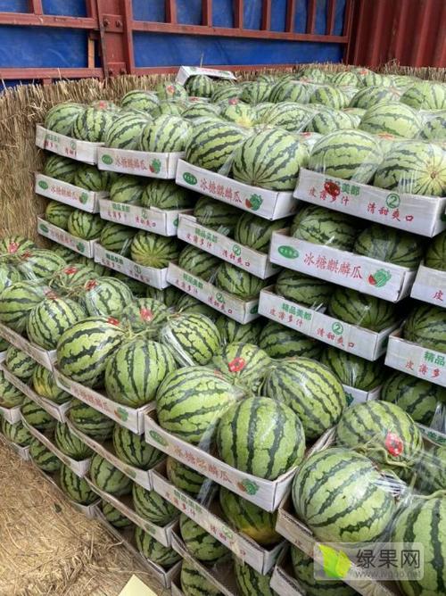 西瓜价格绿果网