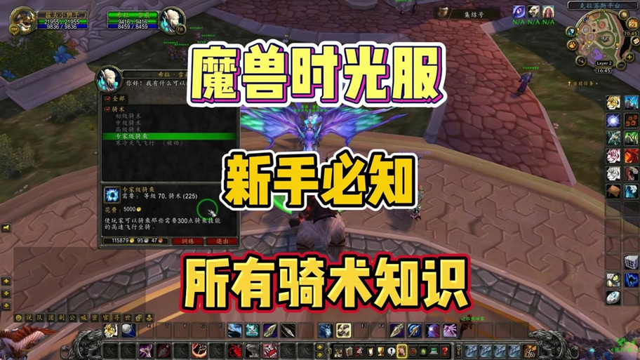 tbc骑术和坐骑价格图标