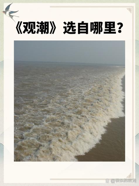方照大潮