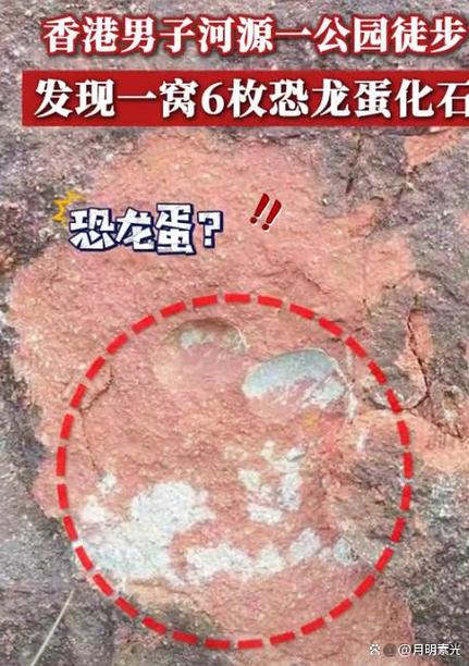 恐龙蛋化石放哪里最旺截图