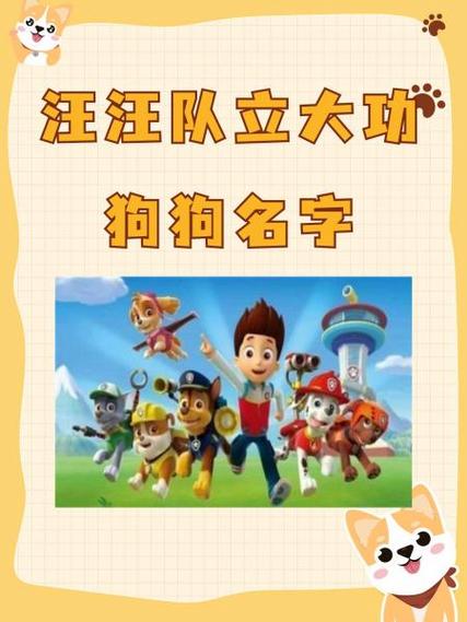 旺旺救援队名字