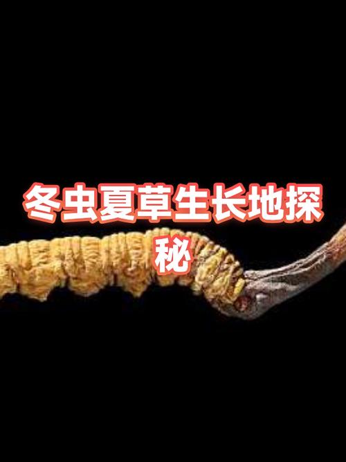 黑白草的功效与作用图标