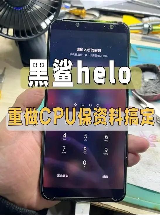黑鲨只显示不开机