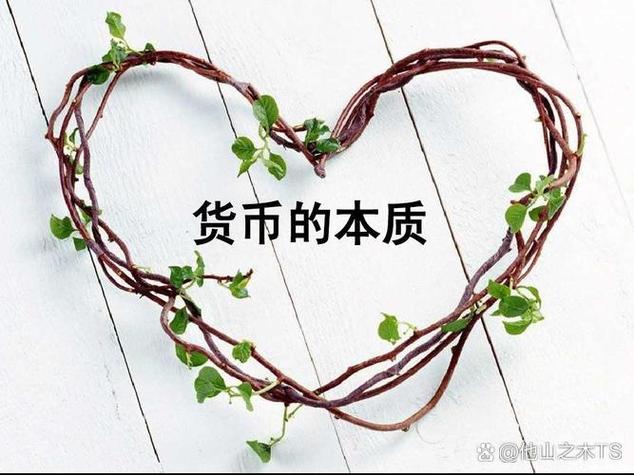 货币本质是什么截图