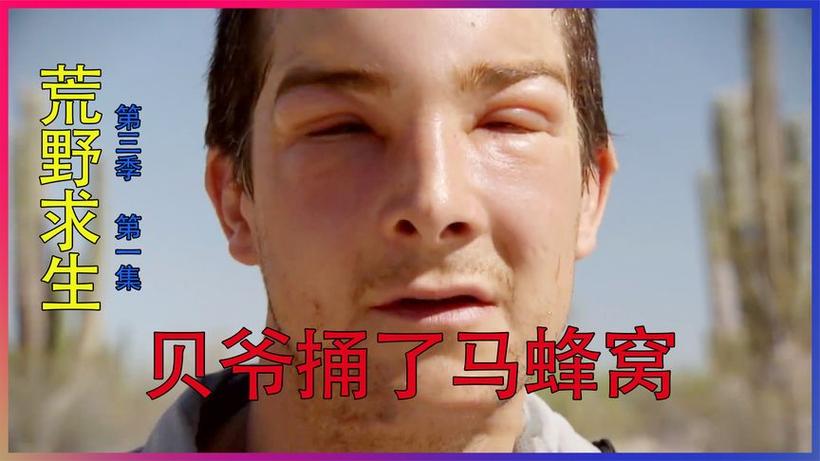 天骐哥的野外求生