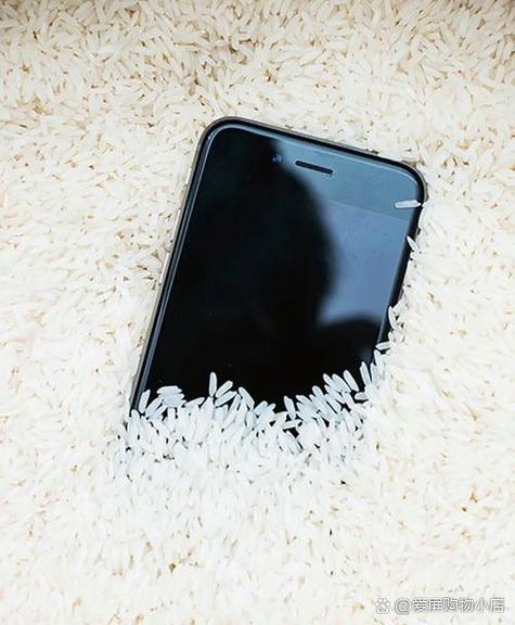 手机掉水里为什么要放大米里