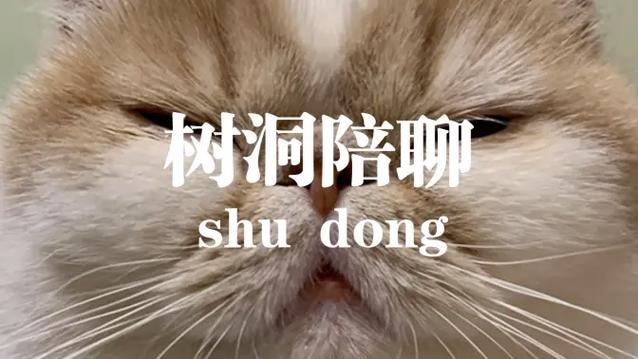 陪聊树洞赚钱是真的吗游戏截图