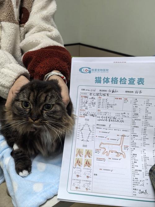 猫saa是什么检查项目