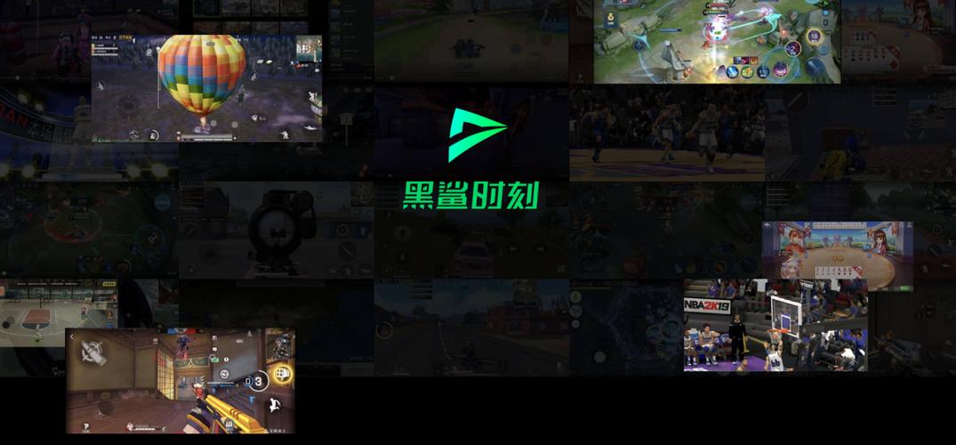 黑鲨时刻