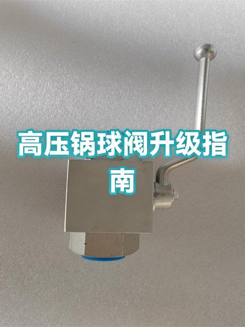 老式高压锅安全阀更换