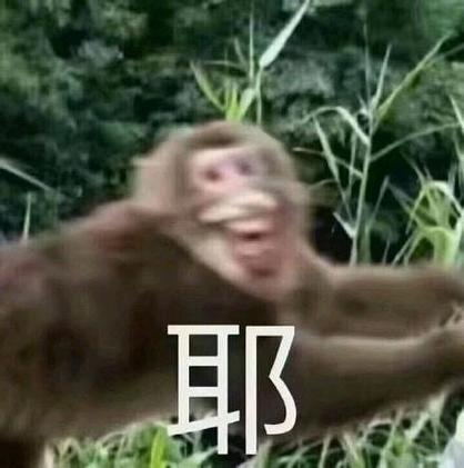 小猴表情包gif游戏截图