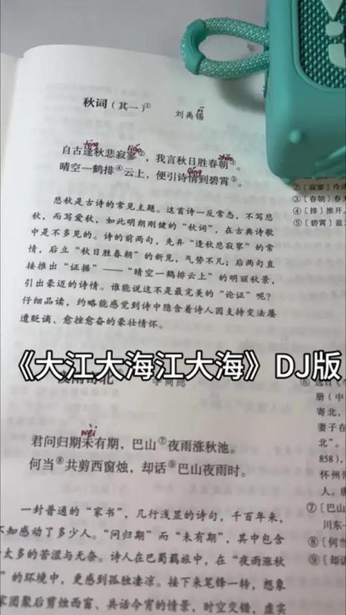《大江大海》(完整版)歌词