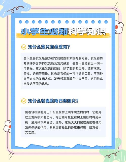 panini科普