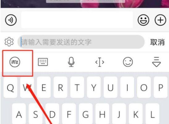 讯飞输入法怎么弄密语图标