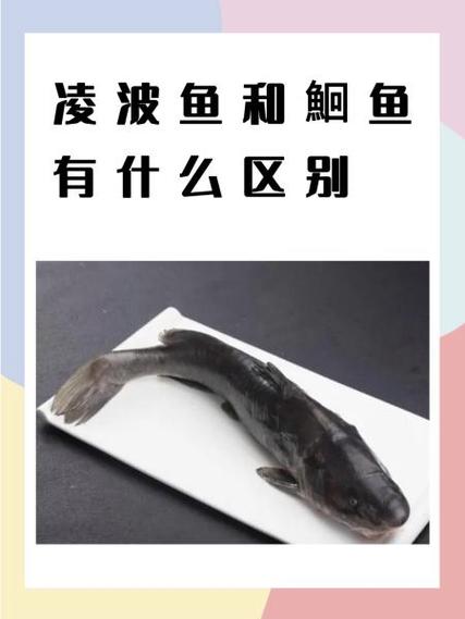 ≌和≃有什么区别缩略图
