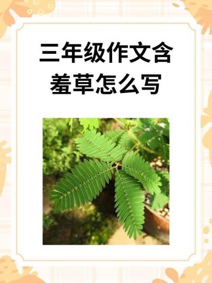 描写草的作文600字