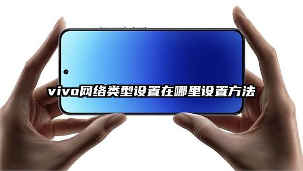 vivo手机网络模式设置在哪