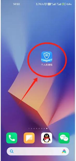 个人所得税密码