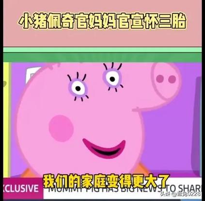 猪妈妈怀三胎在第几季