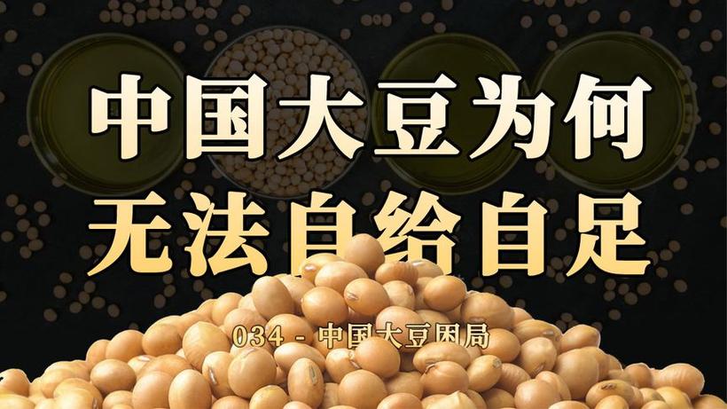 中国的粮食可以自给自足吗