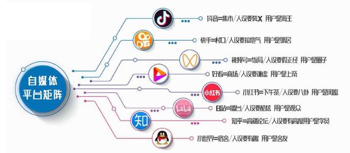 短视频的分类和比例