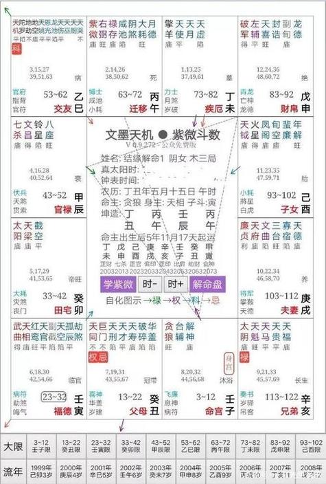 紫微斗数排盘免费入口
