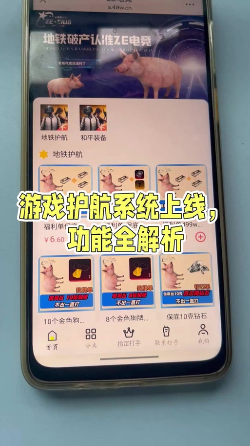9100护航