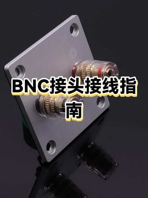 bnc接头接法图解图标