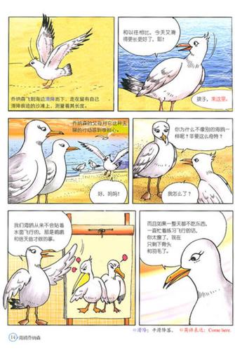 《海鸥乔纳森》全文