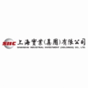 上海将来实业股份有限公司截图