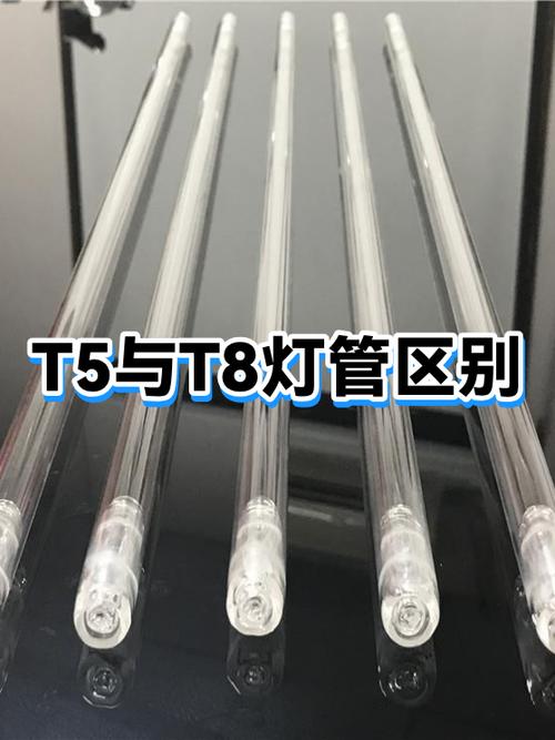 灯管t8和t5有什么区别