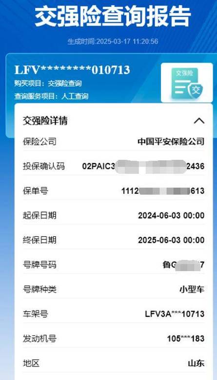 车辆保险查询图标