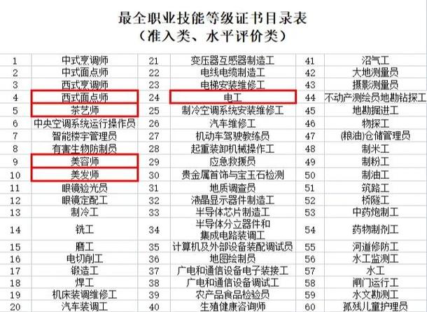 职业技能有哪些