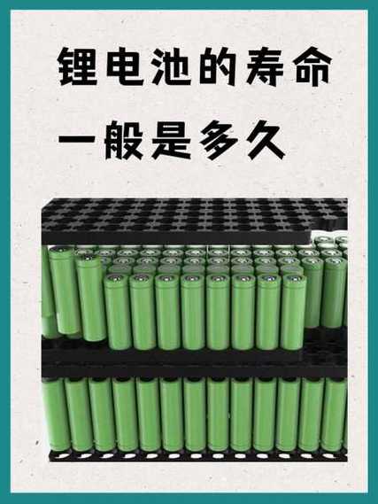 雅萌寿命一般多久图标