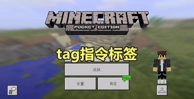 我的世界给玩家标签