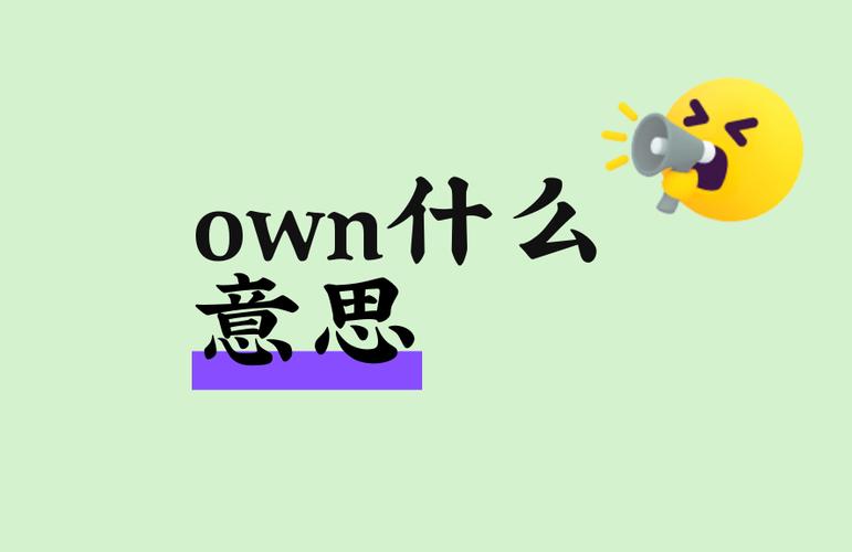 own的三种用法