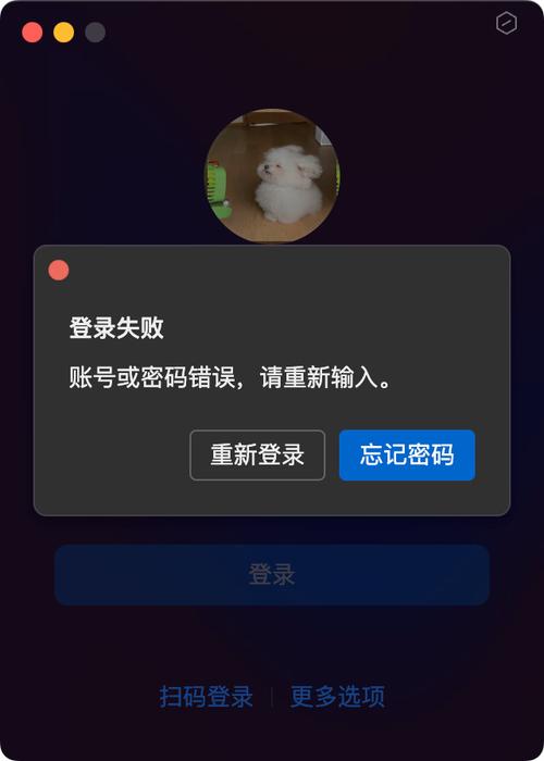 哆点忘记登录密码