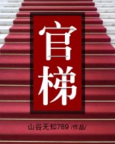 《官梯:从选调生开始问鼎权力巅峰》