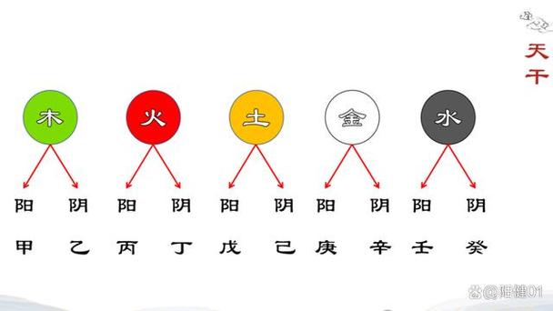 蓝球五行金木水火土综合走势