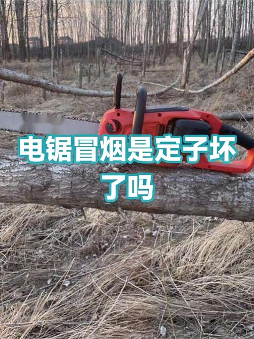 电锯冒烟了,还能转,能修吗图标