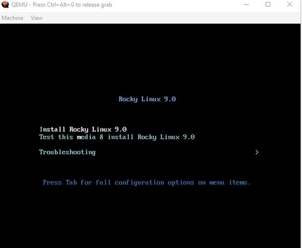 qemu安卓版运行Windows
