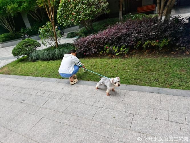 北京公务员遛狗普通话小区
